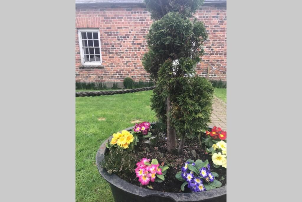 The Tack Room Cottage - Wells House & Gardens Wexford Exteriör bild